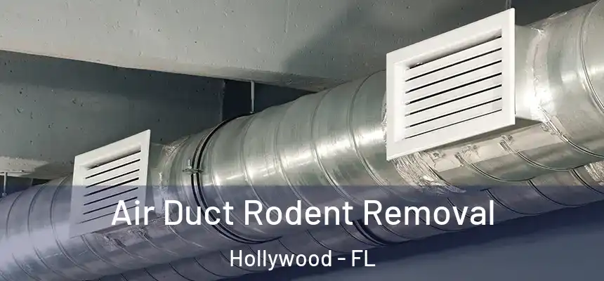  Air Duct Rodent Removal Hollywood - FL