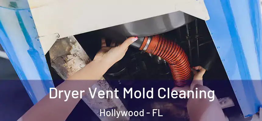 Dryer Vent Mold Cleaning Hollywood - FL