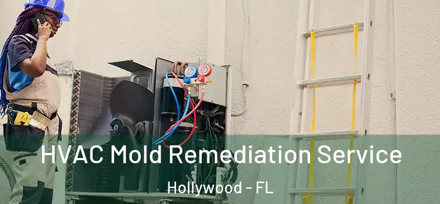 HVAC Mold Remediation Service Hollywood - FL