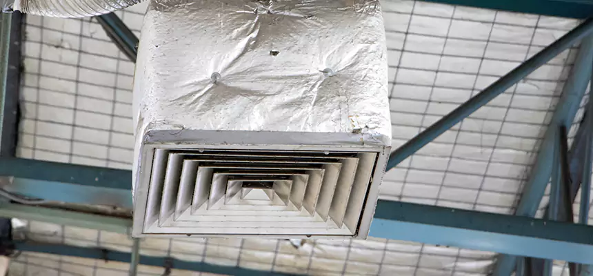 Our HVAC Mold Remediation Service Services in Hollywood, FL
