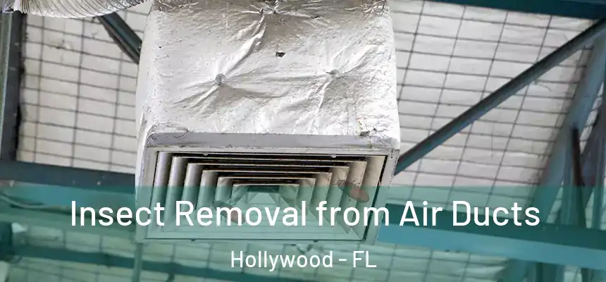 Insect Removal from Air Ducts Hollywood - FL