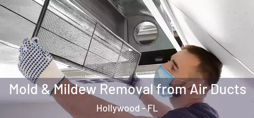 Mold & Mildew Removal from Air Ducts Hollywood - FL