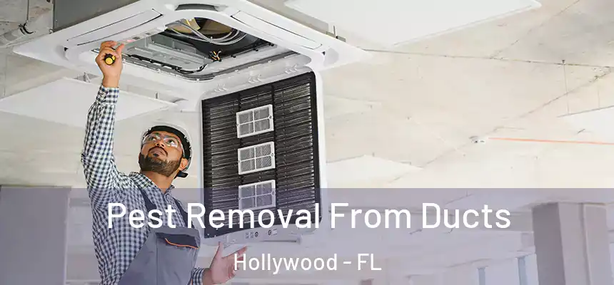 Pest Removal From Ducts Hollywood - FL