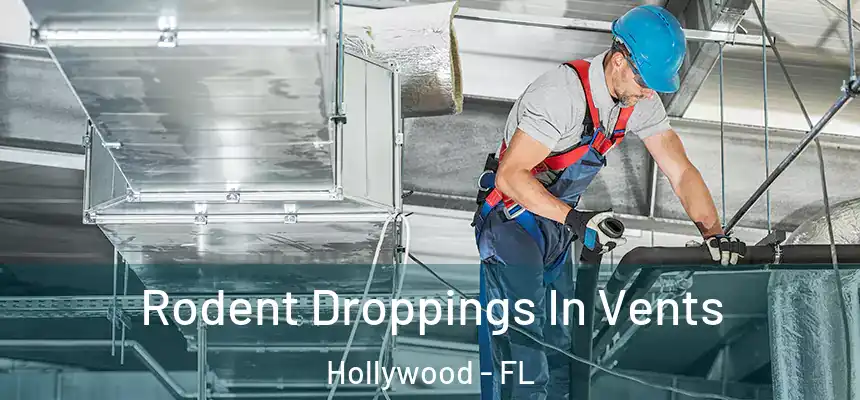 Rodent Droppings In Vents Hollywood - FL