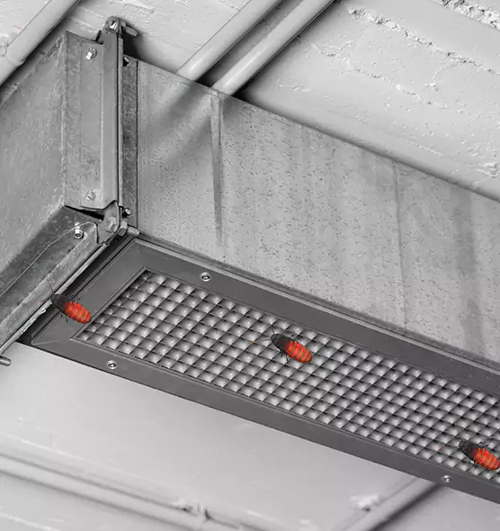 Affordable Insect Removal from Air Ducts in Hollywood, FL