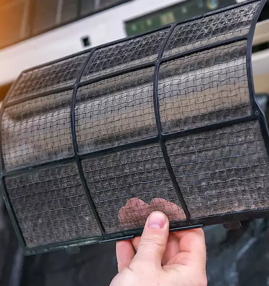 About Pet Dander Duct Cleaning in Hollywood, FL